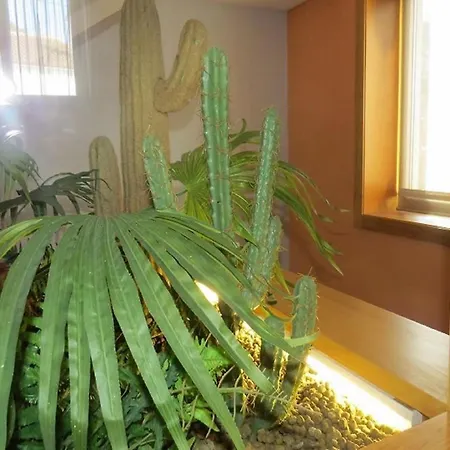 Casa Portela * カミーニャ